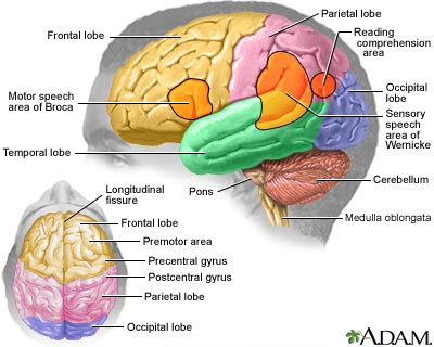 How To Deal With Short Term Memory Loss - Thoughtit20